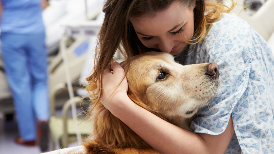 Paciente en la cama abrazando a un perro de terapia