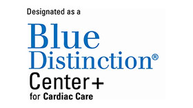 logotipo blue distinction center