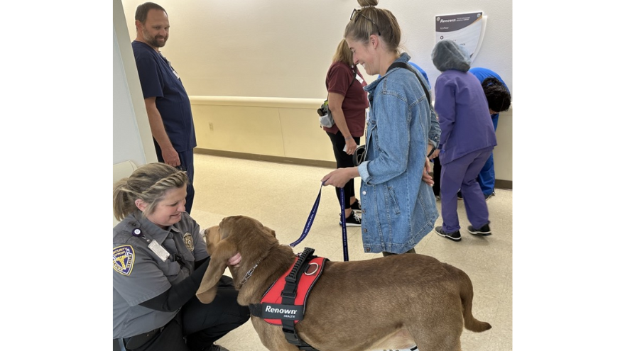 Shelbi Whitehead and her therapy dog, Moose, bring smiles to Renown's security team.