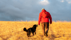 Hombre mayor paseando a un perro por el campo
